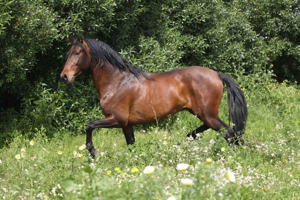 ... und immer viel Spaß!!