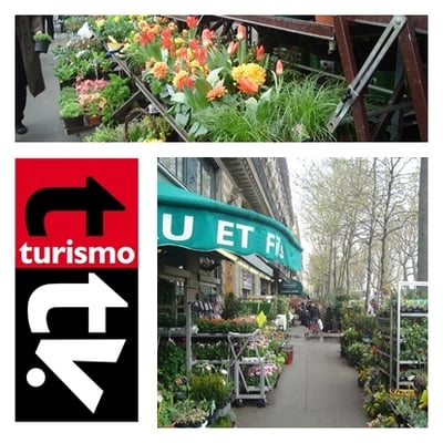 Turismo Tv, televisión turística