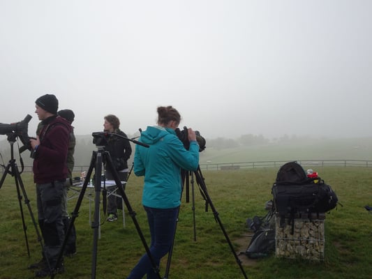 Versierte Beobachter des Naturwissenschaftlichen Vereins für Schwaben bestimmen die Arten auch bei schlechter Sich