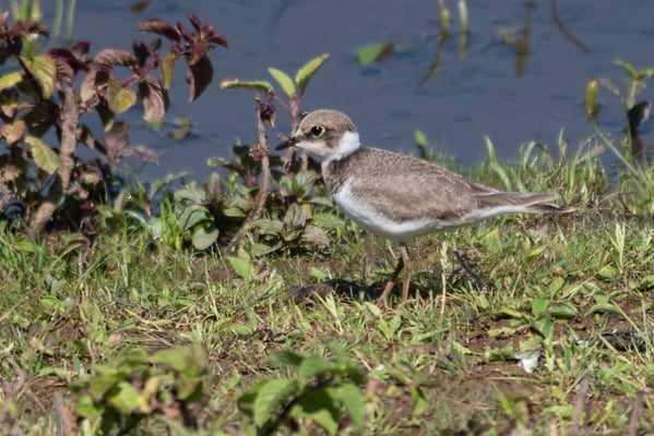 Foto Ulrich Laakmann