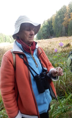 Marianne hat einen Sumpfstorchschnabel entdeckt