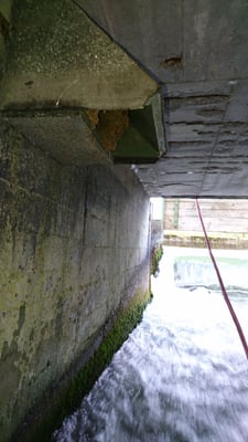 Wasseramselnistkasten mit Nest am Lochbach