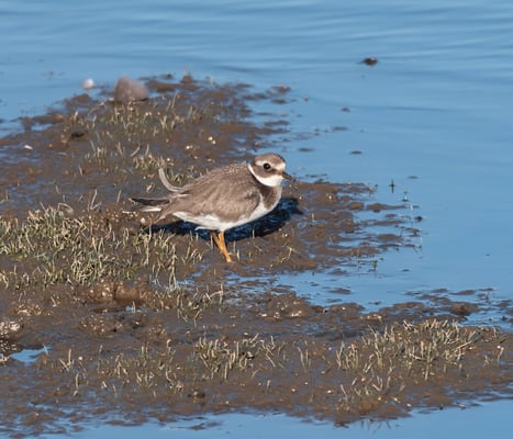 Foto Ulrich Laakmann