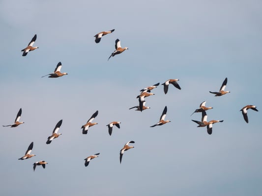 Foto: Ulrich Laakmann