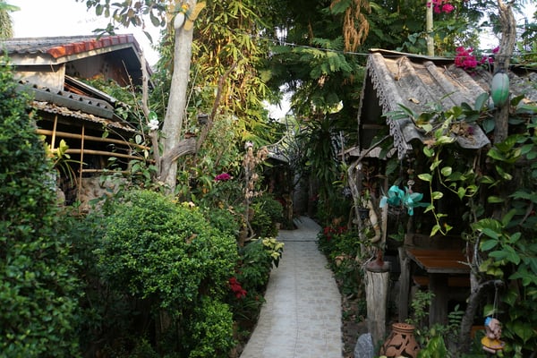 Der Dschungelgarten im Guesthouse....