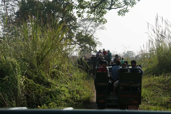 Stau der TATA-Jeeps vor dem Dschungelcheckpoint - dahinter endlose Weiten...