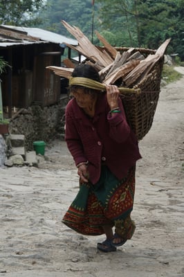 Sie trägt heim, was...