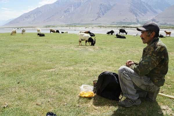 Der Hirte mit den Aprikosen, die er mir auf den Weg geben wollte...