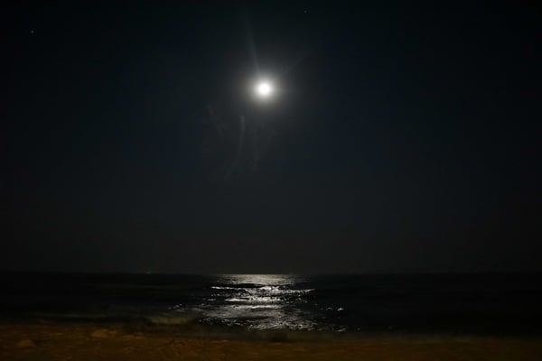 Der Mond ist aufgegangen... Sterne waren keine zu sehen letzte Nacht...