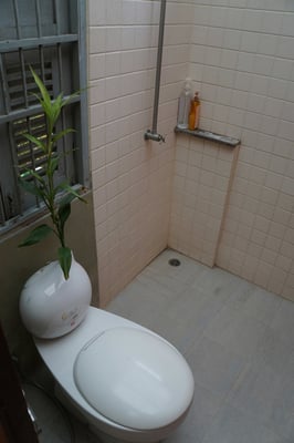 Das grüne Klo im Homestay in Bangkok...