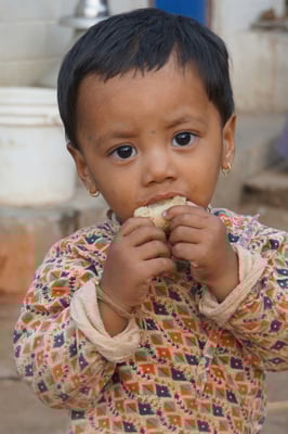 Sulav geniesst ein Stück Zuckerrohr - kann man lecker "aussaugen"...