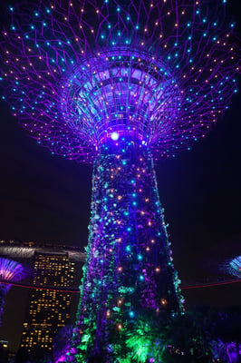Nachts werden die Gardens by the Bay beleuchtet - die Asiaten mögens bunt und kitschig - ich in diesem Fall auch...