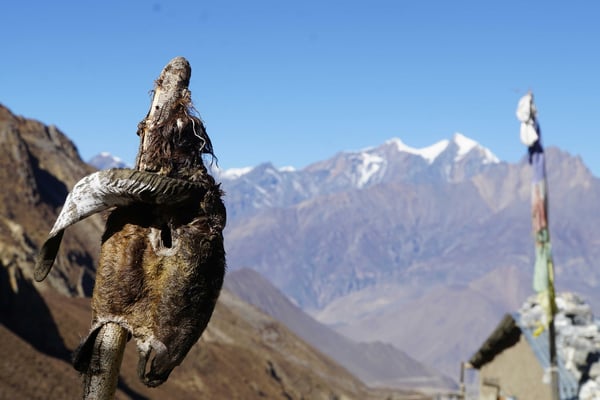 Auf dem Weg nach Muktinath...