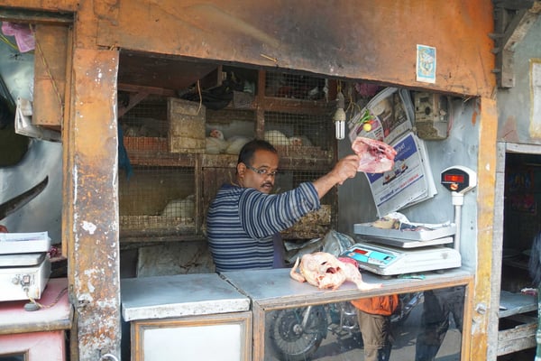 Vorne wird geschlachtet - hinten wartet der lebende Nachschub im Regal - frisch - ...