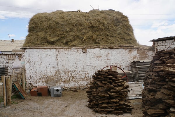 Im Homestay werden aus Yakdung Ziegel geformt, welche dann als Brennmittel dienen - das Heu für die Tiere wird hier auf den Dächern des Stalls gelagert...