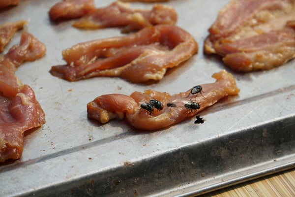 "Strassenbild" aus Amphawa: Fleisch wird getrocknet - die  Fliegen freuts - werde heute Abend hier NICHT essen gehen...