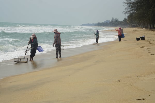 Heute Morgen habe ich am Strand die Muschelfischerinnen beobachtet...