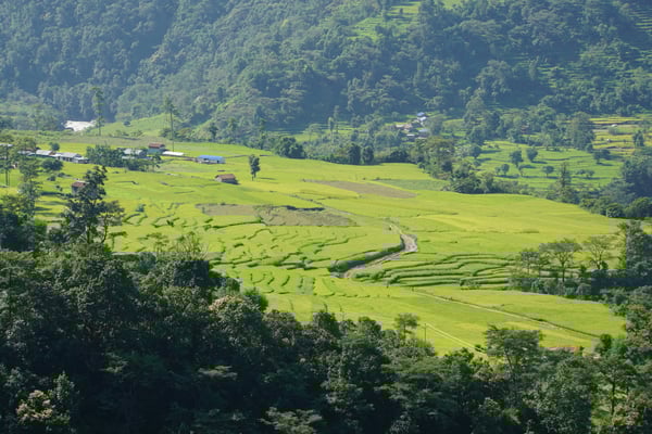 Wandern durch Reisterrassen - WUNDERSCHÖN...