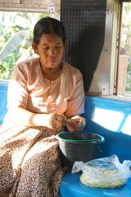 Im Zug rüstet die Bäuerin Bohnen, die sie dann in Yangon auf dem Markt verkaufen will - bei uns arbeitet man im Zug auch - aber meist am Laptop...