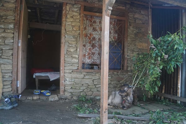 Blick zu meinem Zimmer bei Surat daheim - vor dem Zimmer wohnte der coole Ziegenbock, bis er im Tempel...