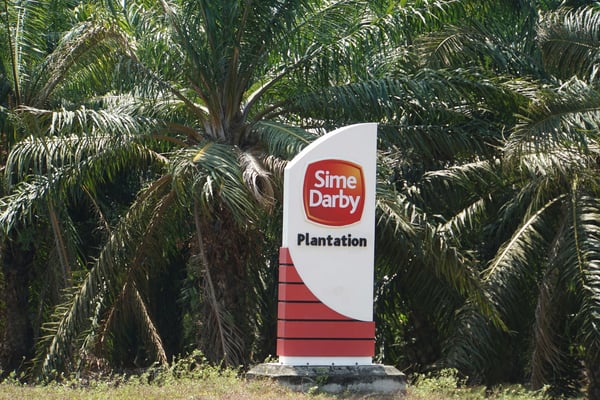 Sime Darby ist offenbar der weltweit grösste Produzent von zertifiziertem Palmöl - daneben noch in der Industrie, der Autoproduktion und dem Liegenschaftshandel gross, sehr gross...