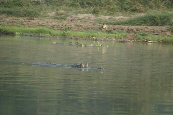 Es sind auch bereits andere Frühaufsteher unterwegs...