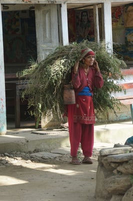 Sie hat Gras für ihre Tiere geholt...