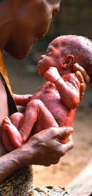 Camera was born in 1986