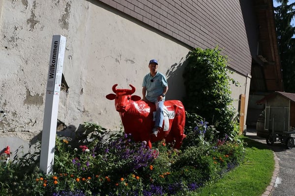 Fotoshooting auf einer sehr zahmen Kuh