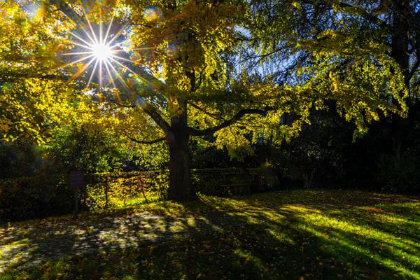 Blende 22 bearbeitet