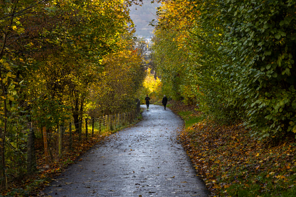 Blende 11 bearbeitet