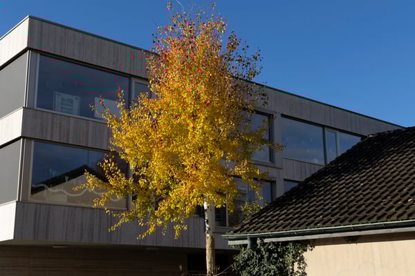 Blende 11 (- 2/3 unterbelichtet)