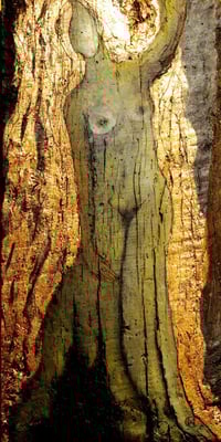 Baumengel [nicht mehr käuflich]