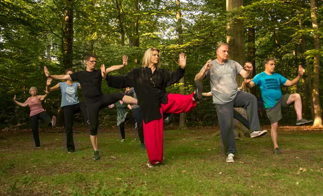 Tai Chi im Wald 3 - Centrum für Tai Chi, Qi Gong, Yoga und Körperarbeit