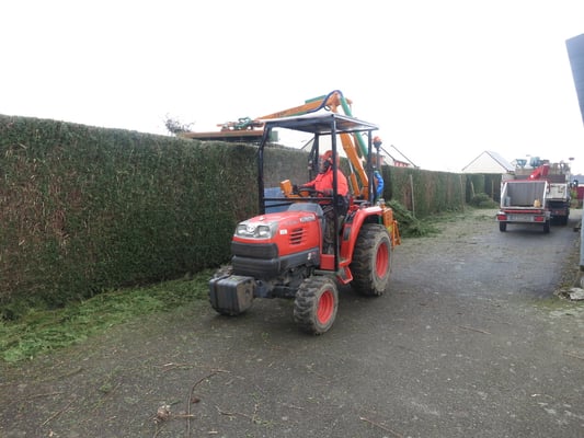 élagage 35140 saint aubin du cormier