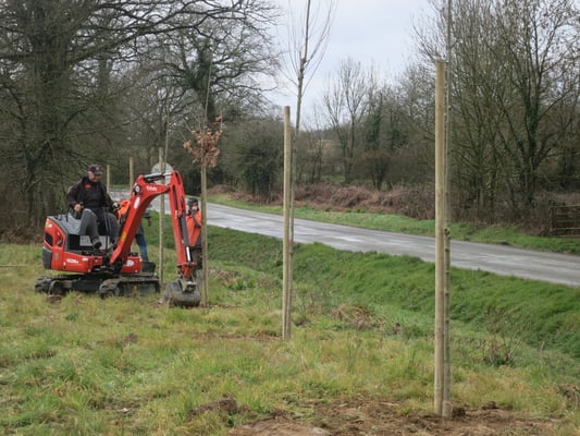 plantation arbustes paysagiste axe Rennes-Vitré-Liffré -Fougères