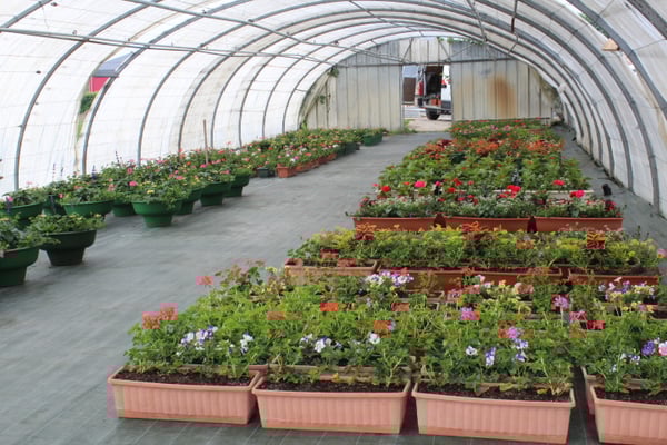 producteur horticulteur 35140 rives du couesnon