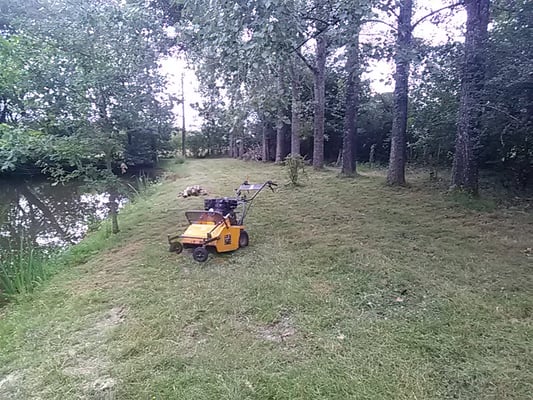 tonte de gazon 35140 saint aubin du cormier