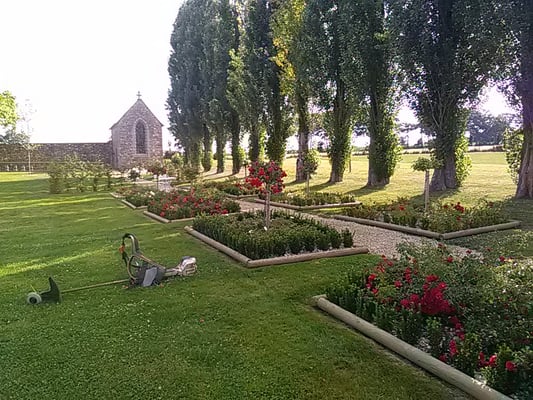 tonte gazon 35300 fougères