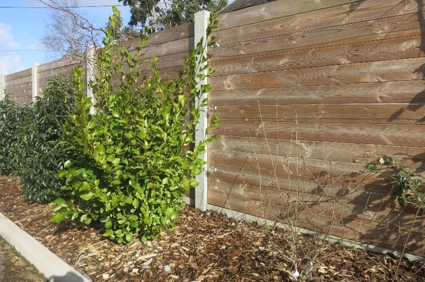 clôture Palissade bois 35140 Saint-Aubin-du-Cormier