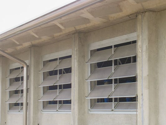 Fensterfassaden in einem Rinderstall