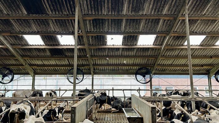 Großvieh-Stallventilator MD-EC-FLOW 1250 Professional