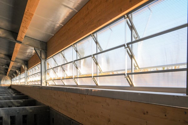 Fensterfassaden in einem Rinderstall