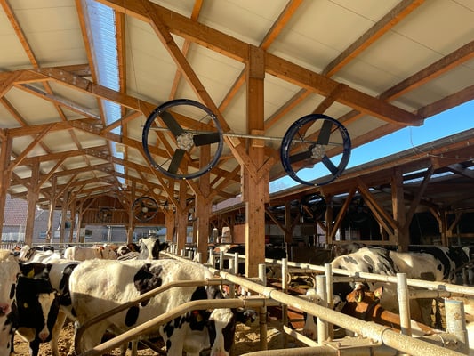 Großvieh-Stallventilator MD-EC-FLOW 1250 Professional