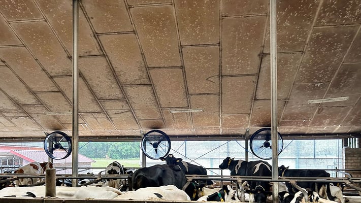 Großvieh-Stallventilator MD-EC-FLOW 1250 Professional