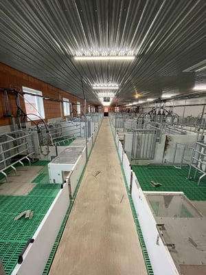 Besichtigung eines neuen Abferkelstalls sowie Deck- und Wartestall