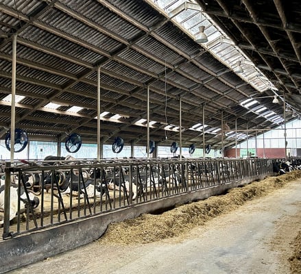 Großvieh-Stallventilator MD-EC-FLOW 1250 Professional