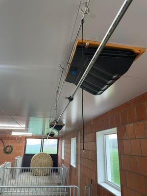 Besichtigung eines neuen Abferkelstalls sowie Deck- und Wartestall