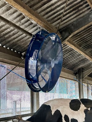 Großvieh-Stallventilator MD-EC-FLOW 1250 Professional