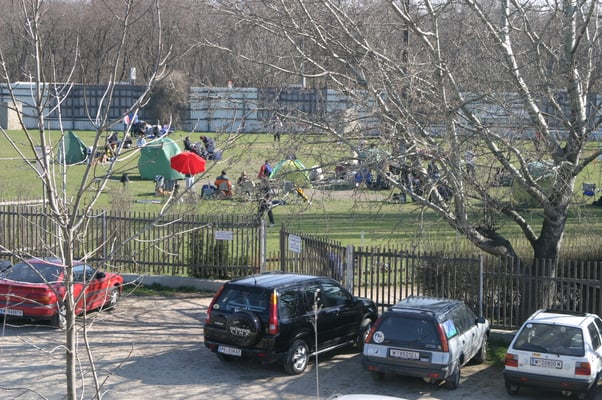 Hundeschule 1100 Wien